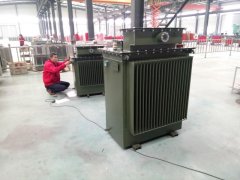 新疆某工程地埋式變壓器項目